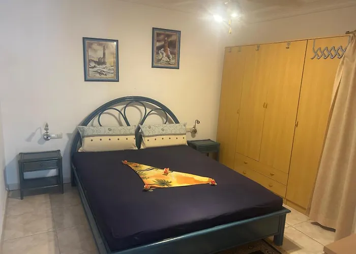 Daire Amarilla Dream *